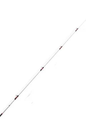 Scion de canne Daiwa Emblem surf 33 453HAF Produit De Marque