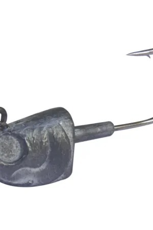 10 Têtes Plombées Poisson 55 g Promotion
