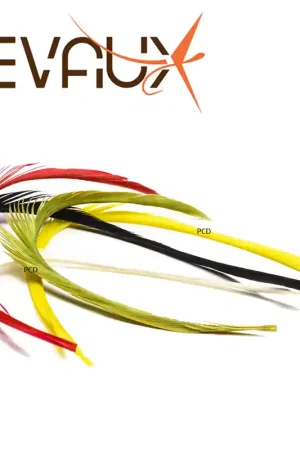 Vente Directe BIOT OIE MIXTE 5 COULEURS DEVAUX