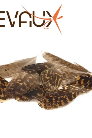 Achat Immédiat PLUMES DEVAUX GROUSE