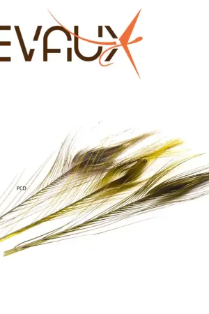 Vente Flash QUILL DE PAON EBARBE MIXTE DEVAUX