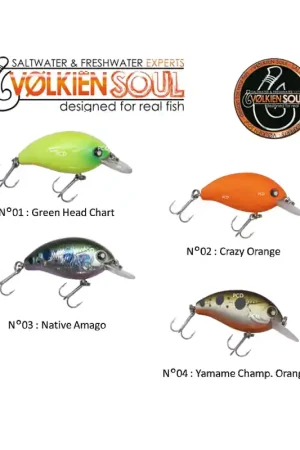 LEURRES FLOTTANT VOLKIEN SOUL DESMO 36F XP Achat Immédiat