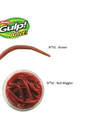 Affaire À Saisir LEURRES GULP ALIVE ANGLE WORM