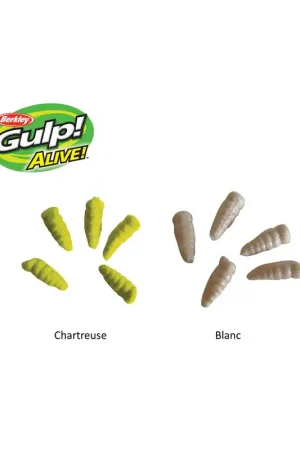 Offre Du Jour LEURRES GULP ALIVE WAXIES
