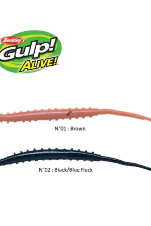 Bon Plan LEURRES GULP ALIVE ARENICOLA PAR 18