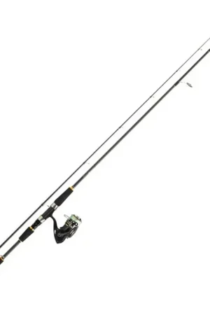 Bon Plan Ensemble Spinning Daiwa Legalis Tsuki 10