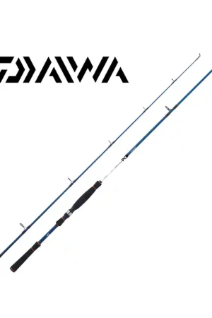 Bon Marché CANNE MER DAIWA SPITFIRE SEABASS 802 HXHFSAF 2M40