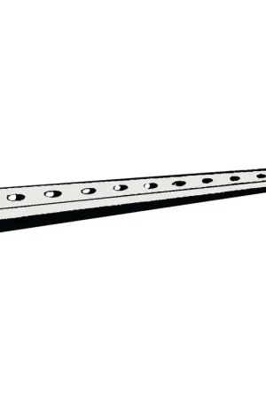 Quantité Limitée Rail aluminium - Longueur de 2 M